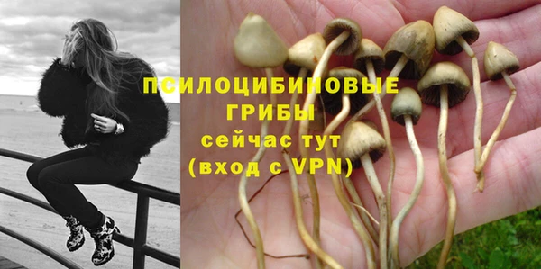 мескалин Абинск