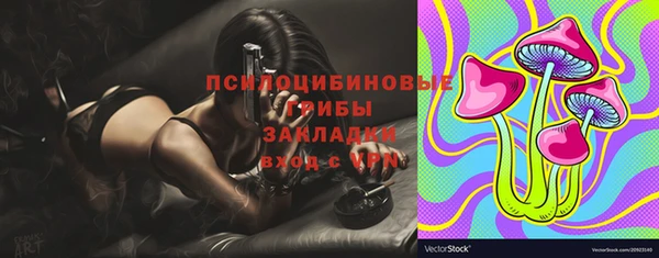 PSILOCYBIN Протвино