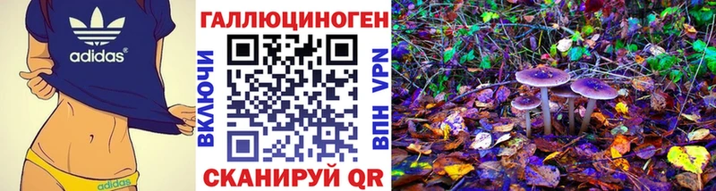 продажа наркотиков  Западная Двина  Псилоцибиновые грибы GOLDEN TEACHER 
